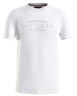 Tommy Hilfiger Menswear T-shirt KM